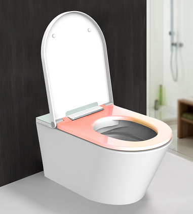 wc with built in bidet