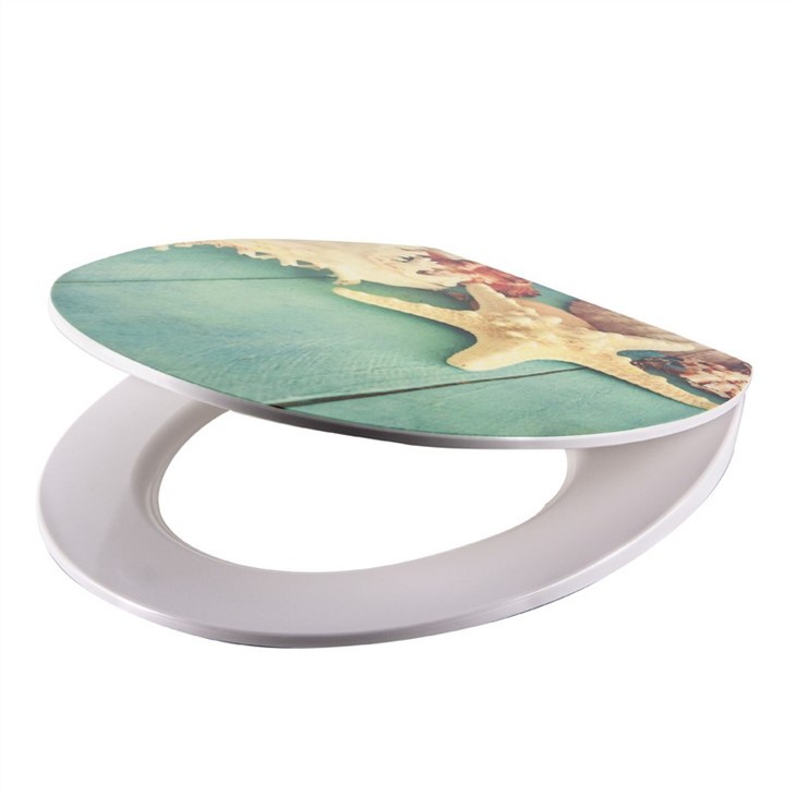 seaside toilet seats
