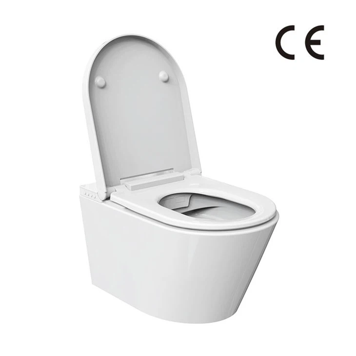 Soojendusega bidee WC