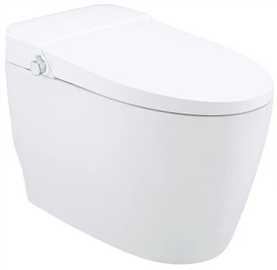 Automaatne bidee WC
