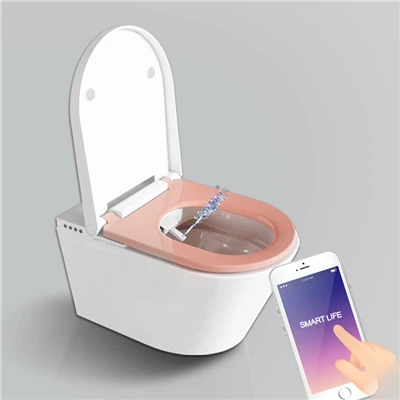 WC Smart Seat